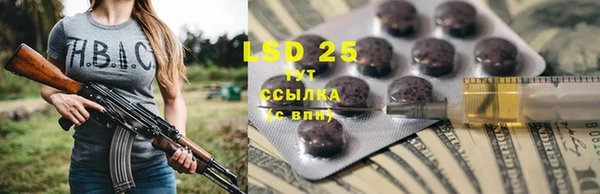твердый Магас