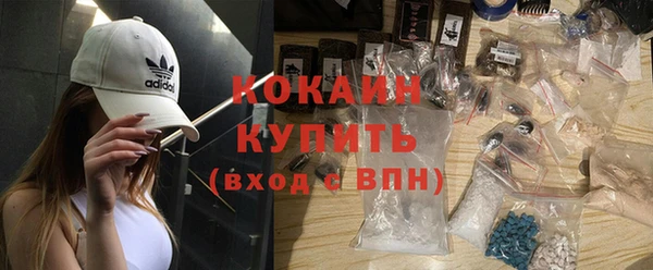 твердый Магас