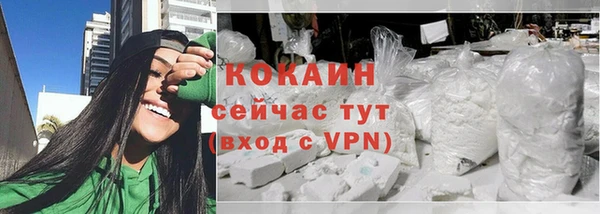 твердый Магас